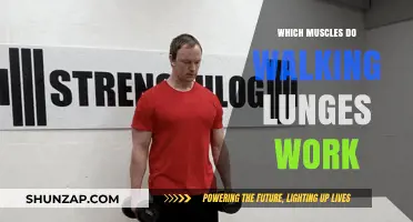 Walking Lunges: Target Muscles and Benefits for Lower Body Strength