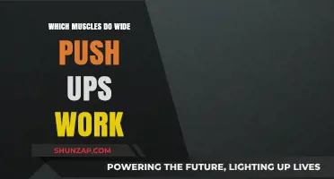 Wide Push-Ups: Targeted Muscles and Benefits for Upper Body Strength