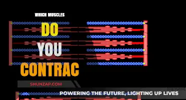 Contracting Muscles: The Science Behind Movement