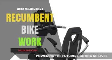 Recumbent Bike Benefits: Targeted Muscles for a Full-Body Workout