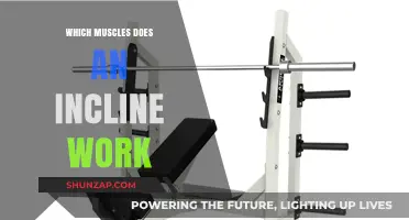Incline Workout Benefits: Targeting Chest, Shoulders, and Upper Body Muscles