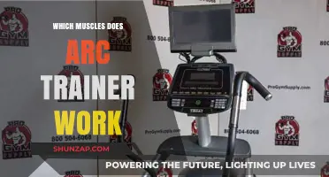Arc Trainer: Target Muscles and Full-Body Benefits Explained