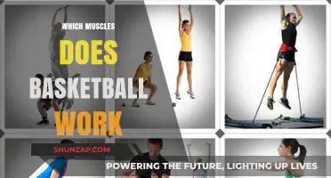 Basketball's Full-Body Workout: Muscles Engaged in Every Dribble and Shot