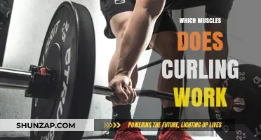 Curling Workout Benefits: Targeted Muscles and Strength Training Explained