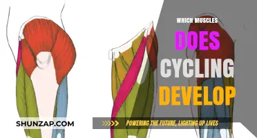 Cycling's Muscle-Building Benefits: Which Muscles Does It Develop?