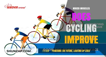 Cycling's Muscle-Building Benefits: Which Muscles Does It Target?
