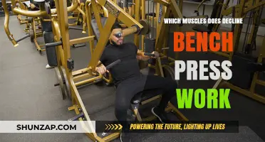Decline Bench Press: Target Muscles and Effective Workout Benefits