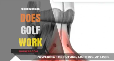 Golf's Hidden Workout: Muscles Engaged in Every Swing and Stance