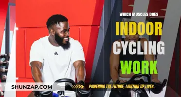 Indoor Cycling Benefits: Targeted Muscles for Strength and Endurance