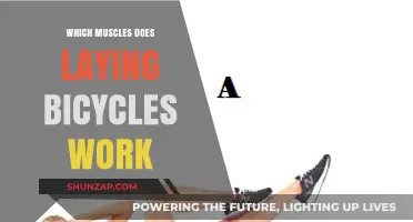 Laying Bicycle Crunches: Target Muscles and Core Benefits Explained