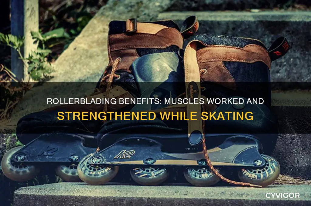 which muscles does rollerblading work