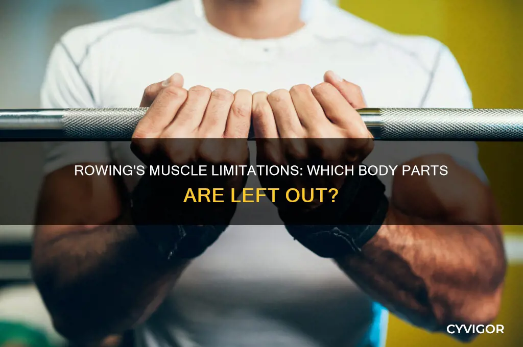 which muscles does rowing not work
