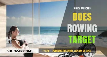 Rowing: Targeting a Full-Body Workout