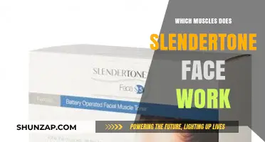 How Slendertone Face Targets and Tones Your Facial Muscles