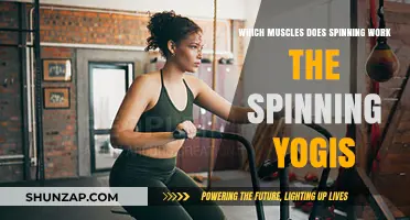 Spinning Yogis: Targeted Muscles in Your Spin Workout Revealed