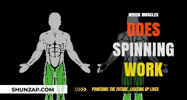 Spinning Benefits: Targeted Muscles for Strength and Endurance in Cycling