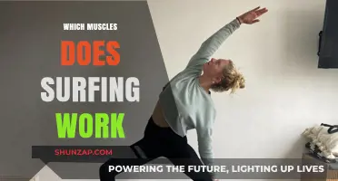 Surfing's Full-Body Workout: Muscles Engaged and Strengthened in the Waves