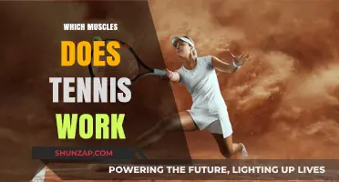 Tennis Workout: Targeted Muscles for Strength, Agility, and Endurance