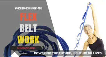 Flex Belt Muscle Targeting: Which Core Muscles Does It Work?
