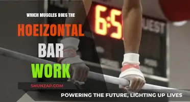 Horizontal Bar Workout: Target Muscles and Strength Benefits Explained