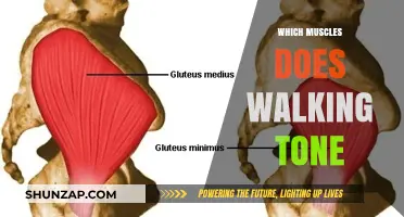 Walking Workout: Toning Muscles, Burning Calories