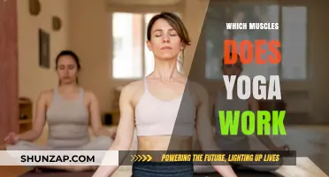 Yoga's Muscle Magic: Unveiling the Full-Body Strengthening Benefits