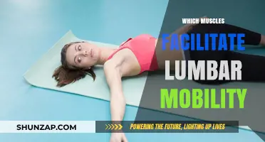 Unlocking Lumbar Mobility: Targeting Key Muscles for Flexibility