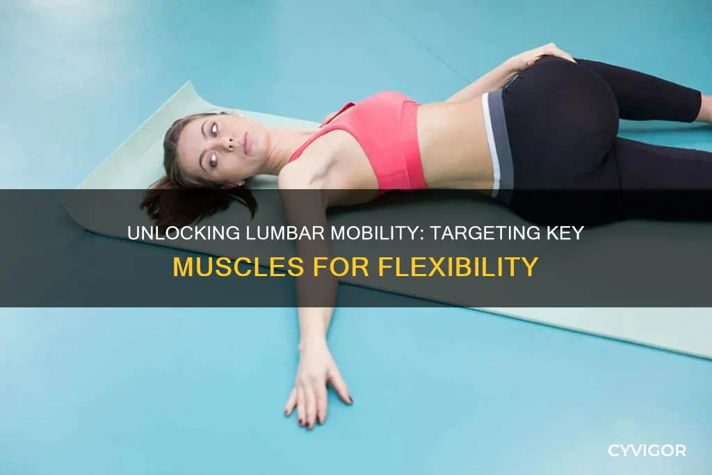 which muscles facilitate lumbar mobility