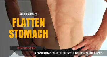 Strong Core, Flat Stomach: Which Muscles to Target