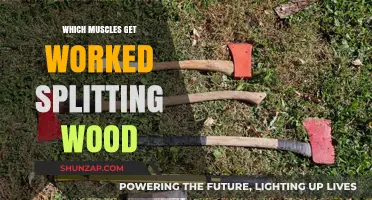 Muscles Engaged in Wood Splitting: A Comprehensive Guide to Strength Training