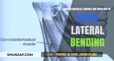 Muscles Engaged in Neck Lateral Bending: A Comprehensive Guide