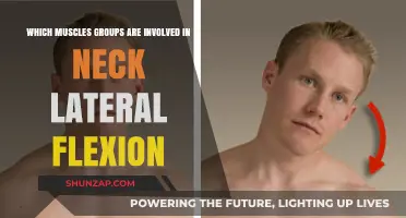 Understanding Neck Lateral Flexion: Key Muscles and Their Roles