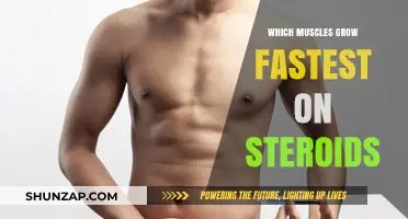 Steroids and Muscle Growth: Which Muscles Respond Fastest?