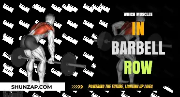 Barbell Row: Targeting the Back and Beyond