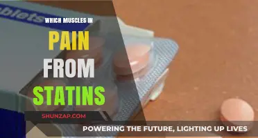 Statin-Induced Muscle Pain: Understanding Affected Muscles and Relief Strategies