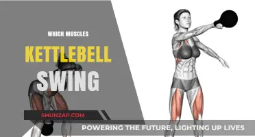 Kettlebell Swings: Which Muscles Do They Work?