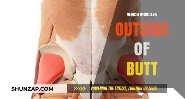 Build a Better Butt: Target These Muscles