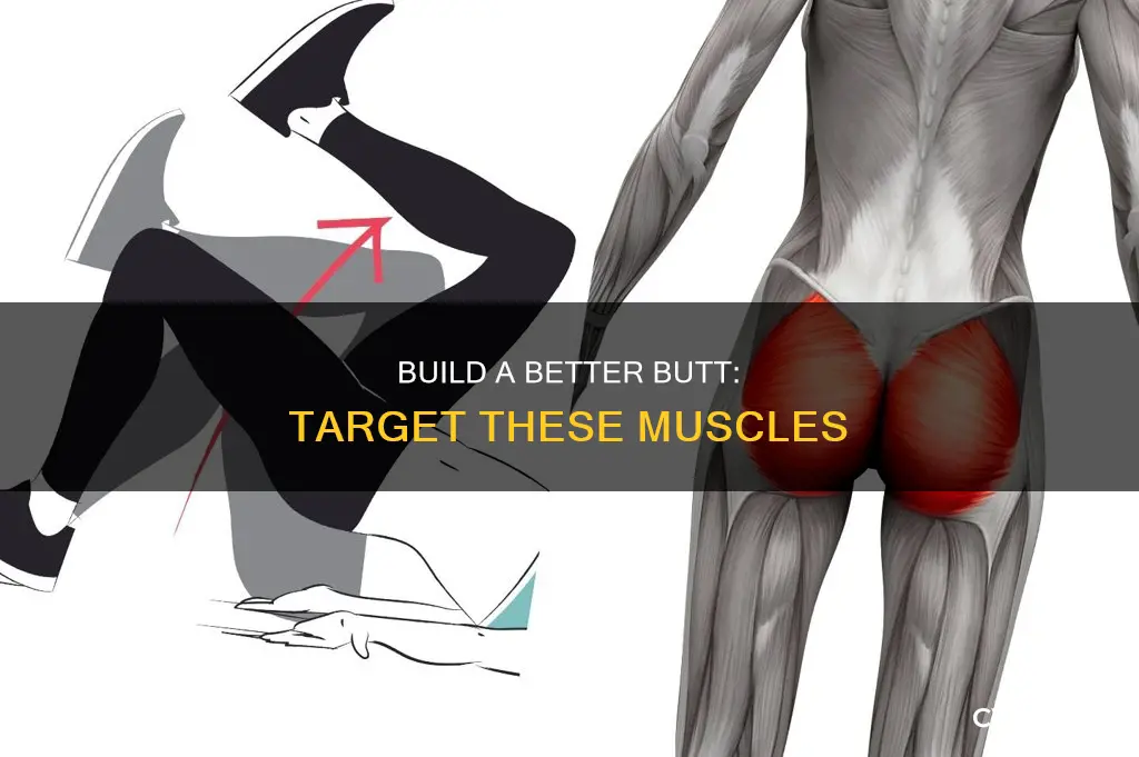 which muscles outside of butt