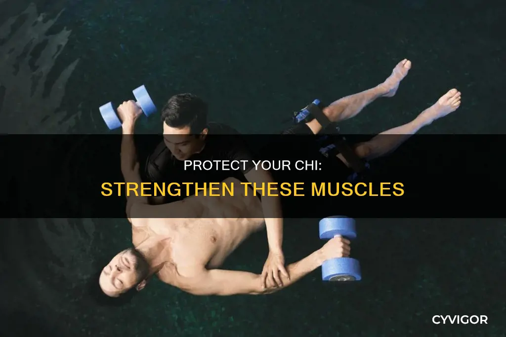 which muscles protect your chi