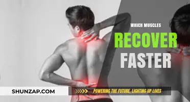 Muscle Recovery: What Factors Affect Your Healing Time?