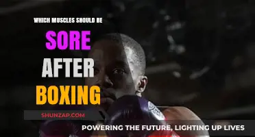Boxing Workout Soreness: Which Muscles Should Feel the Burn?