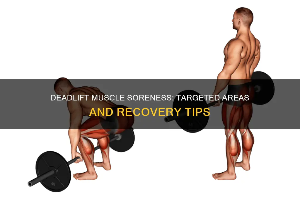 which muscles should be sore after deadlift