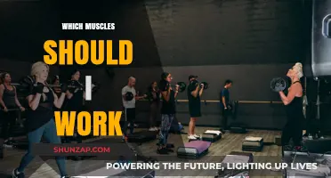 Target Muscles for Optimal Strength: A Comprehensive Guide to Your Workout