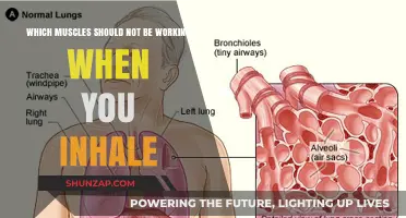 Inhalation Essentials: Muscles to Keep Relaxed During Breathing