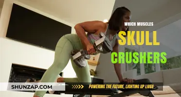Skull Crushers: Building a Strong Tricep