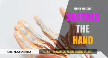 Hand Relaxation: Soothing Muscles for Comfort