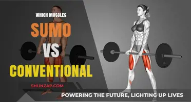 Sumo vs Conventional: Which Muscles Are Activated?