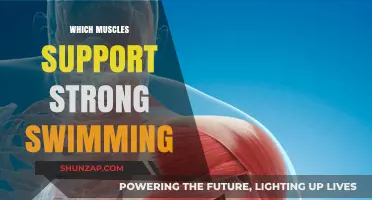 Build Swimming Strength: Target These Muscles