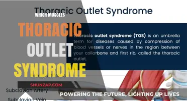 Thoracic Outlet Syndrome: Understanding the Affected Muscles