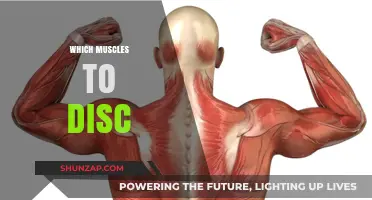 Back Pain: Muscles to Target for a Healthy Disc
